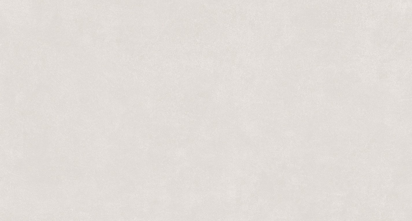 Description of Image 1