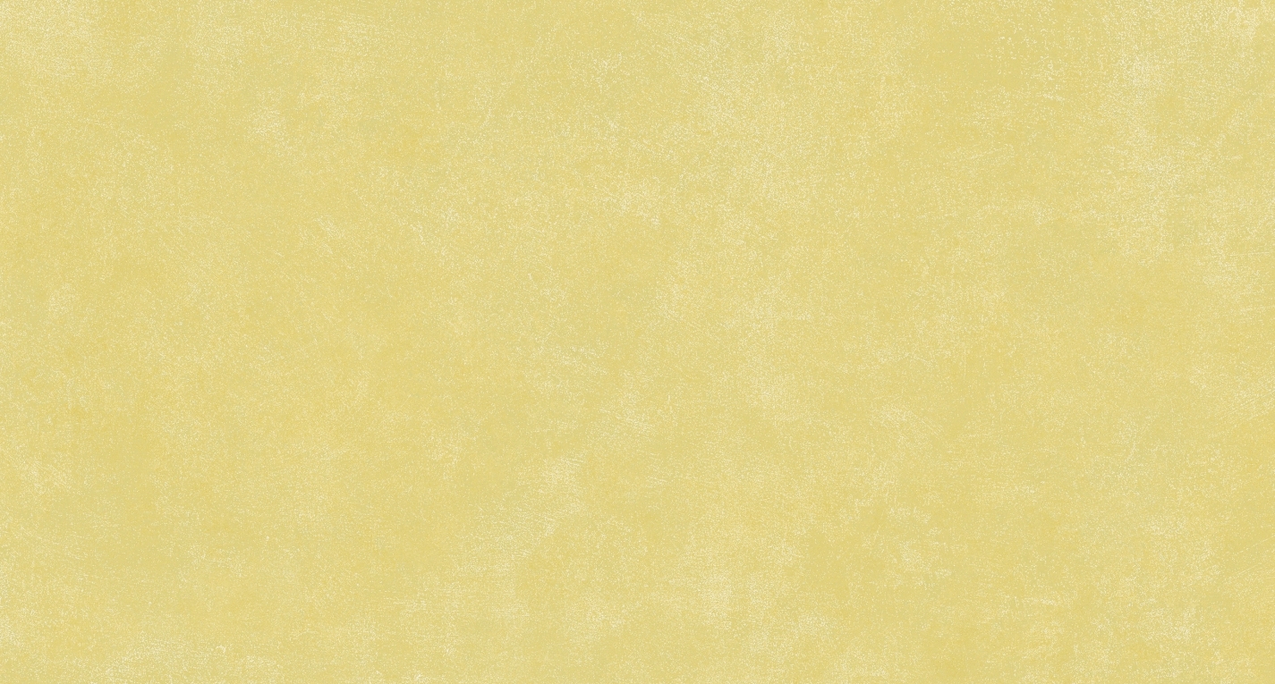 Description of Image 1