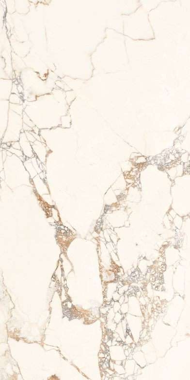 Description of Image 1