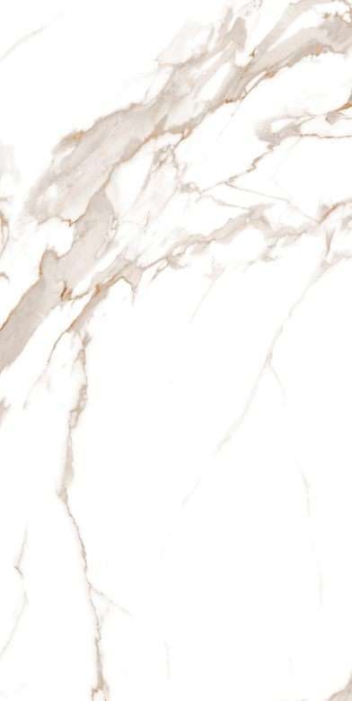 Description of Image 1