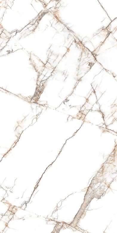 Description of Image 1