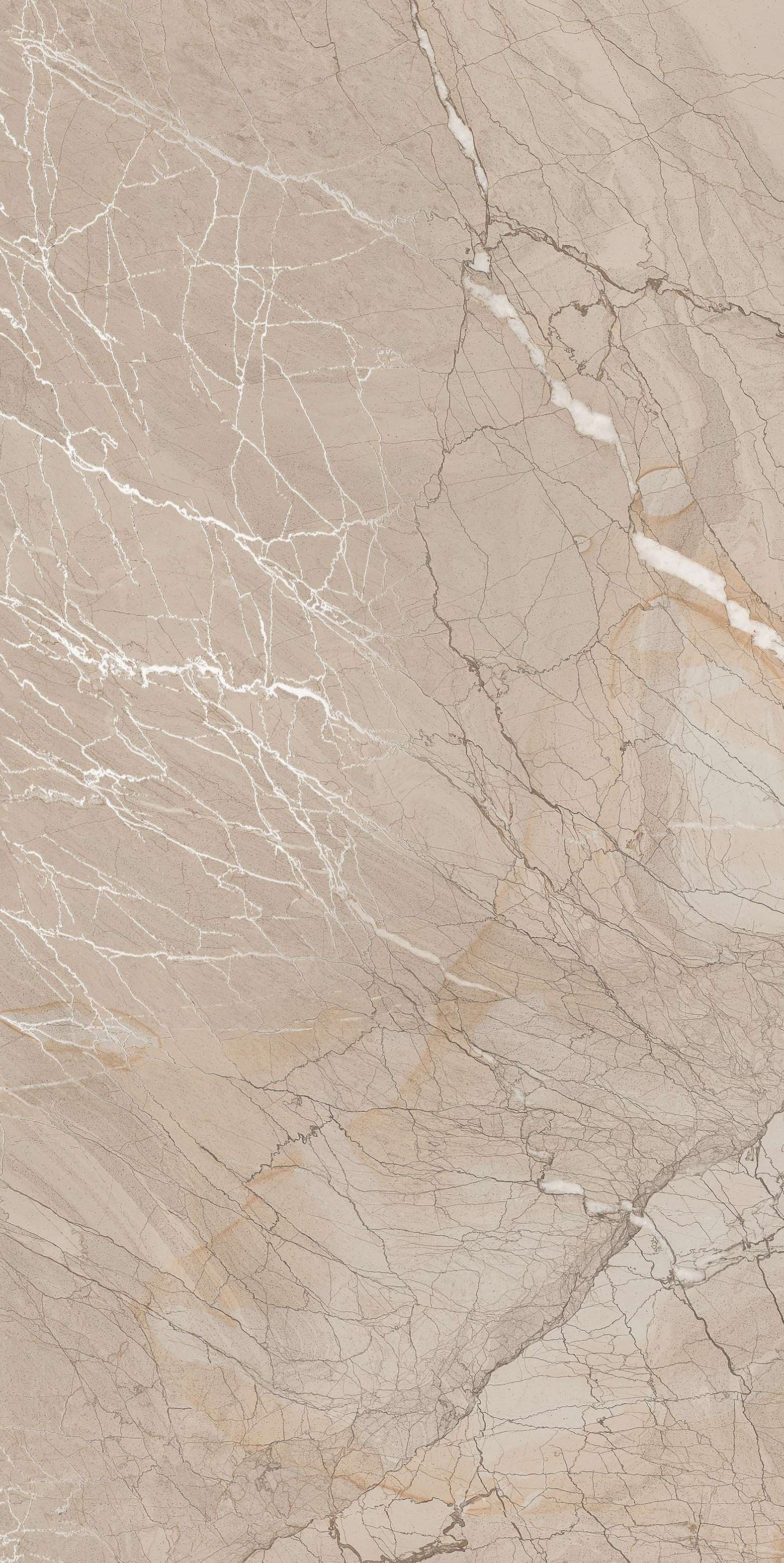 Description of Image 1