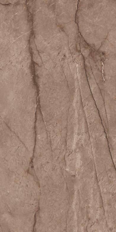 Description of Image 1