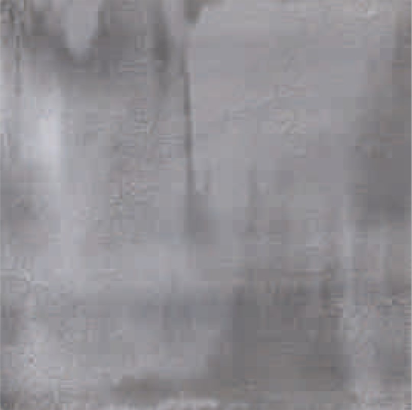 Description of Image 1