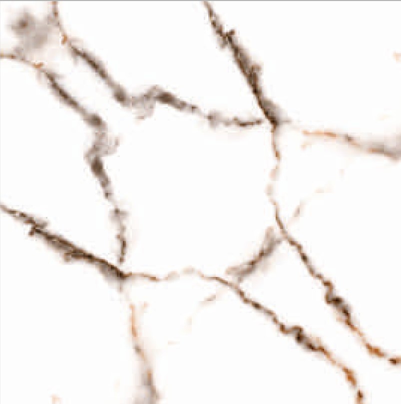 Description of Image 1