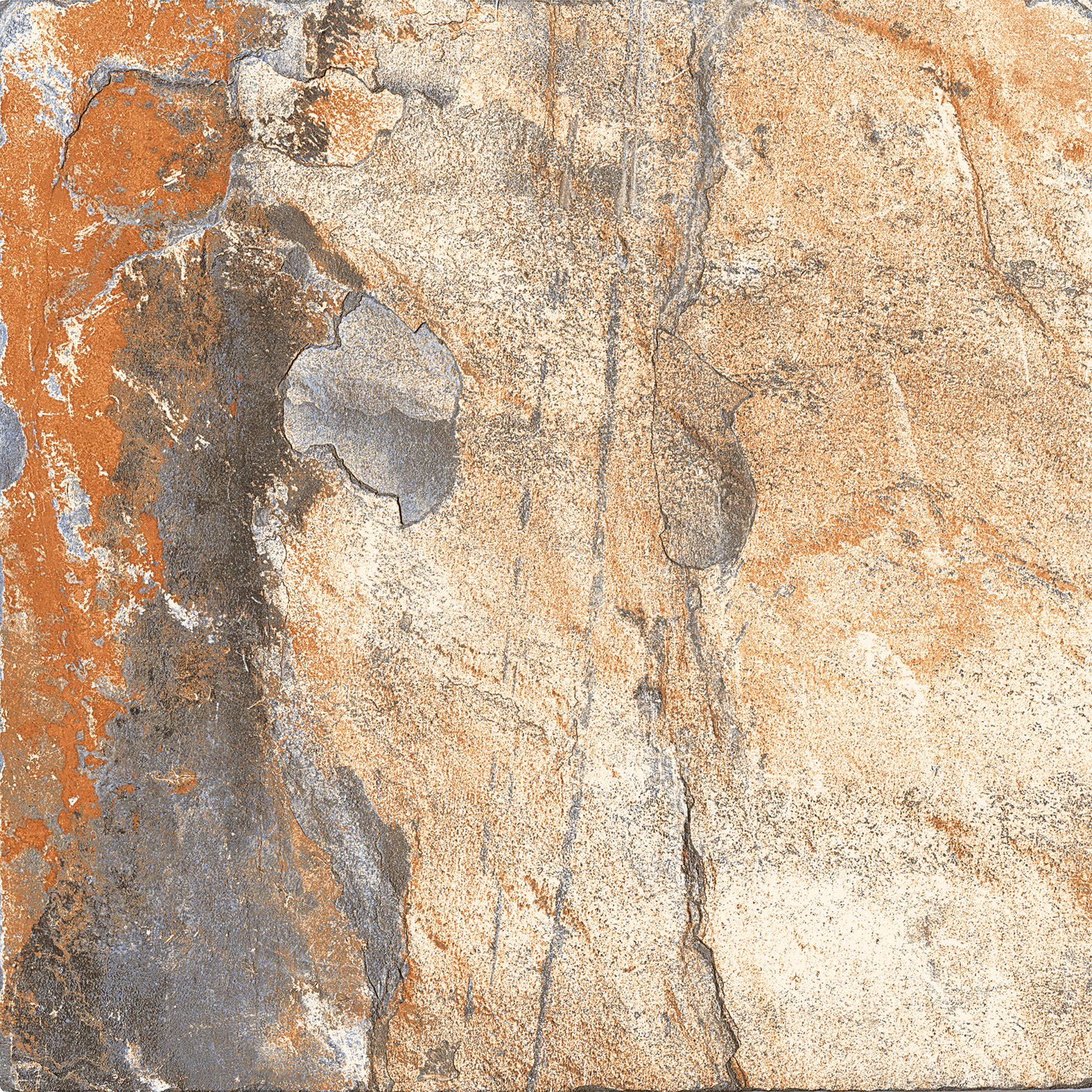 Description of Image 1