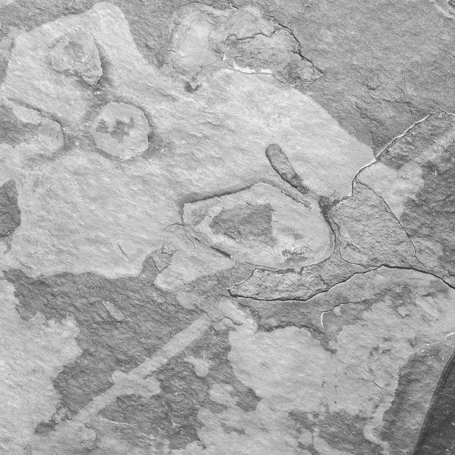 Description of Image 1