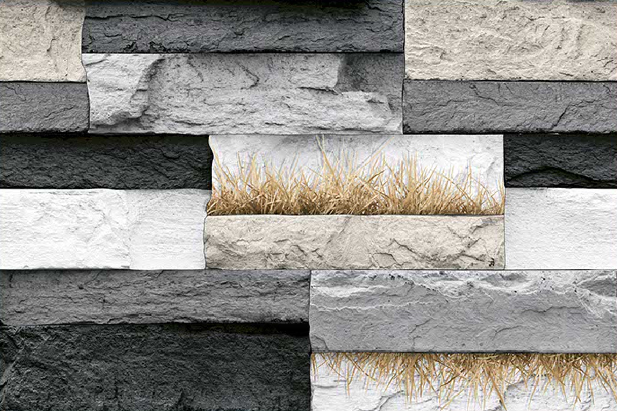 Description of Image 1