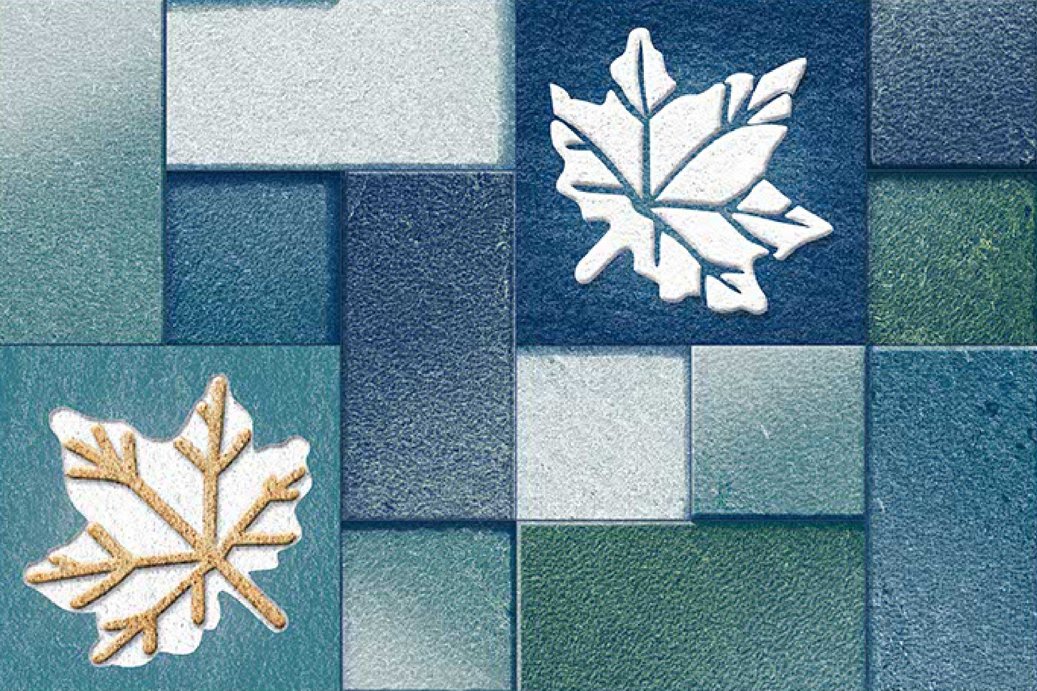 Description of Image 1