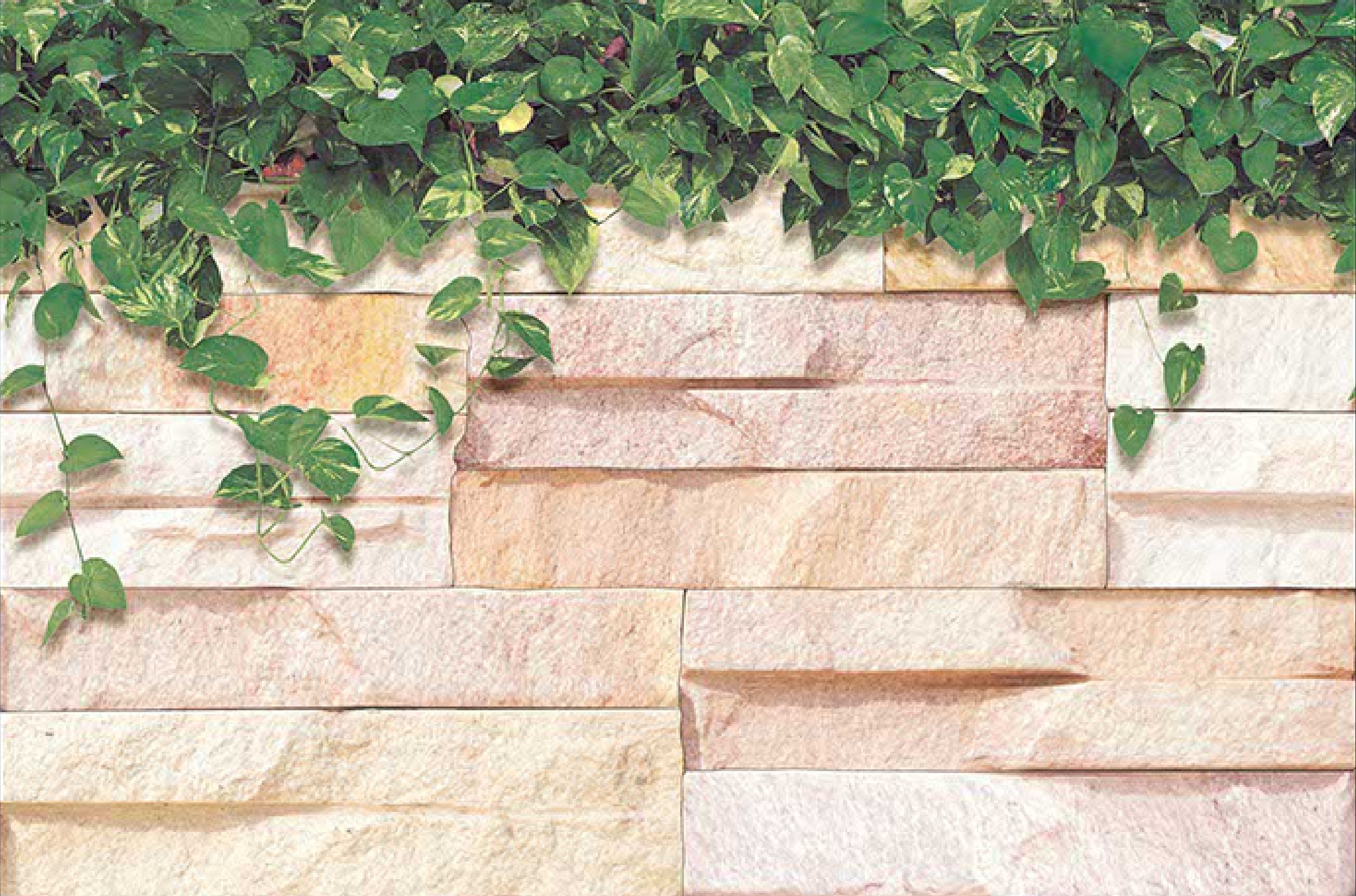 Description of Image 1